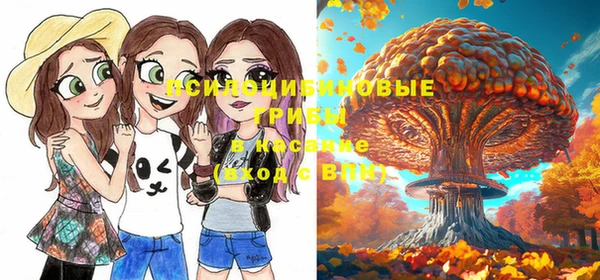 бошки Армянск