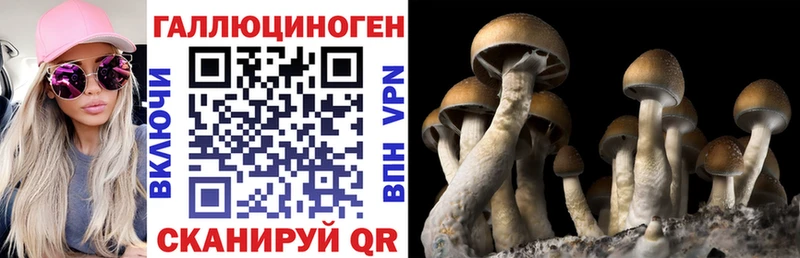 Купить  Полесск  Псилоцибиновые грибы Cubensis 