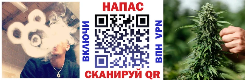 Купить  Полесск  Шишки марихуана ГИДРОПОН 